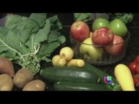 Deshidrata frutas y verduras para sustituir las comidas chatarra