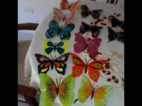 Mariposas multicolores – Reciclando botellas plásticas