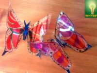 Bonitas mariposas pet para decorar ☼