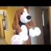 Perrito Beagle amigurumi crochet Parte 2