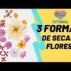 Tres formas para secar flores