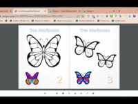 El mejor libro de actividades de mariposas en Amazon KDP – ¡mira el flipbook!